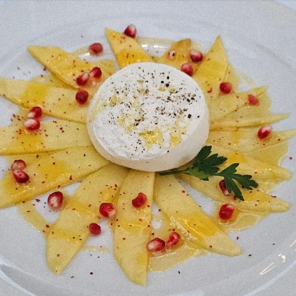 Ratskeller — Burrata auf Ananas-Carpaccio